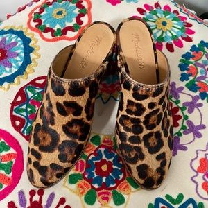 Beautiful Harper Mule